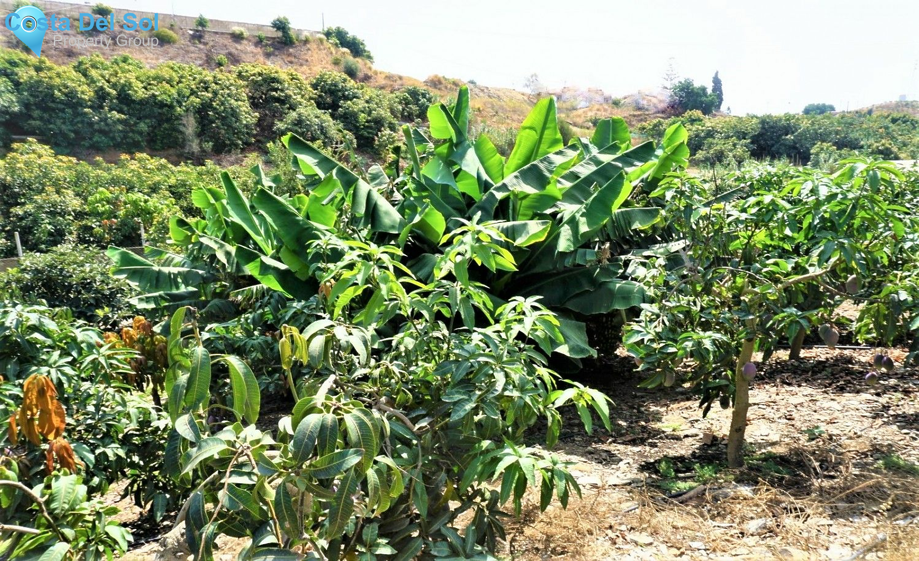 Land in Almayate-1400807