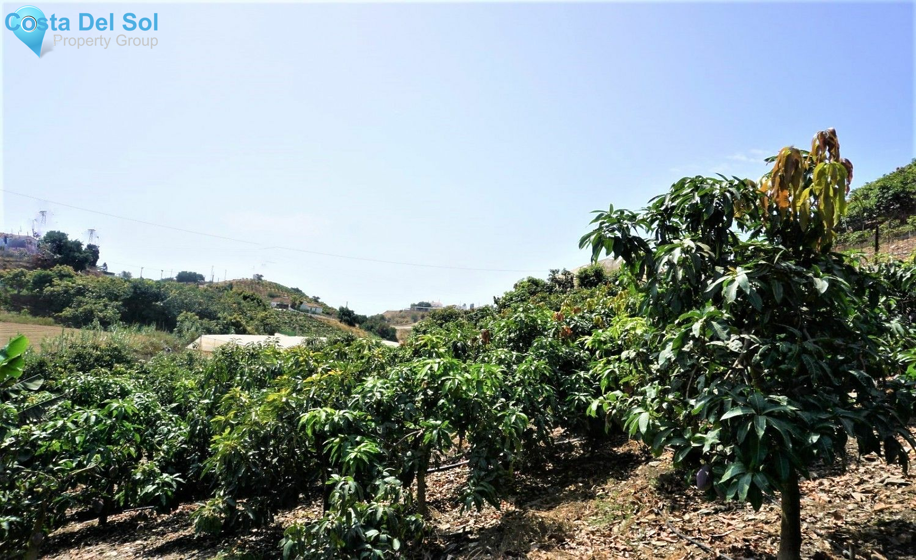 Land in Almayate-1400809