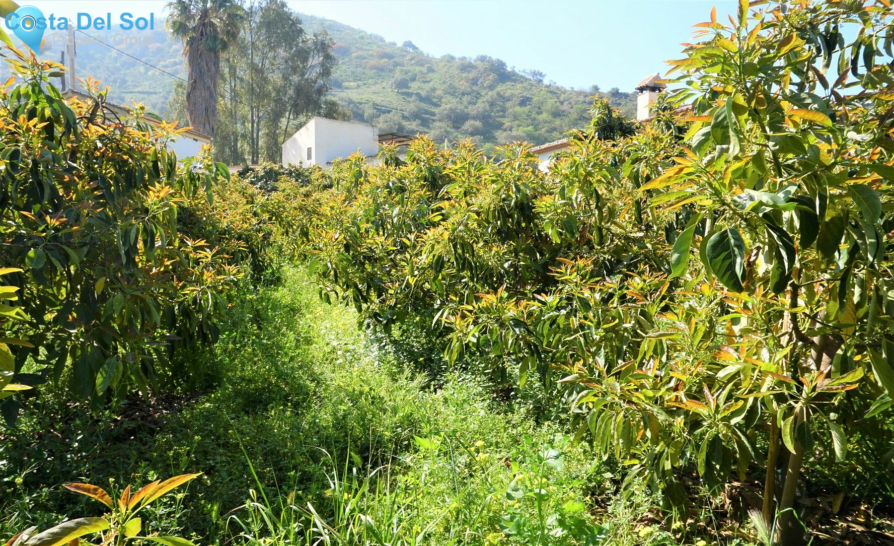 Land in Canillas de Aceituno-1208881