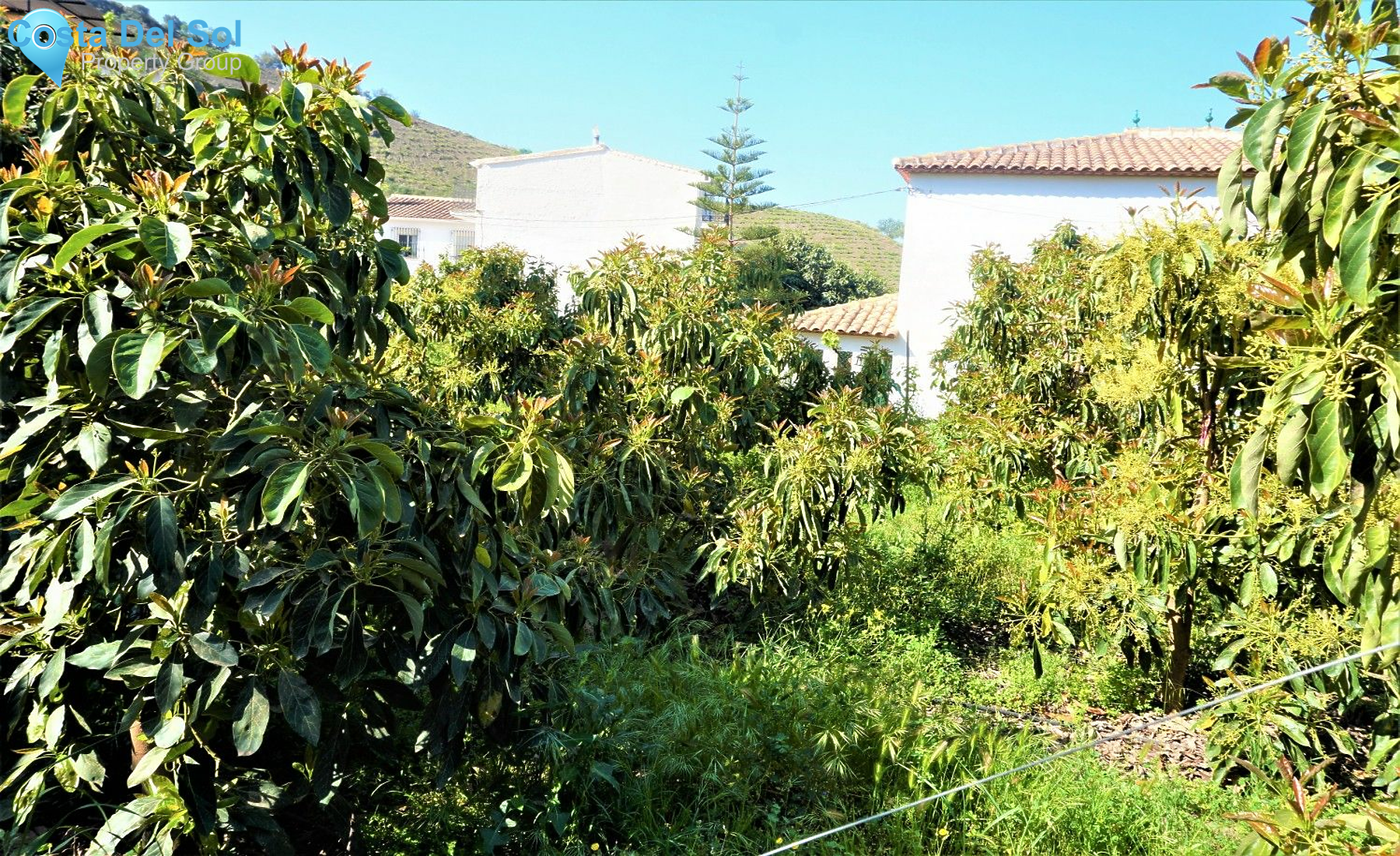 Land in Canillas de Aceituno-1208887