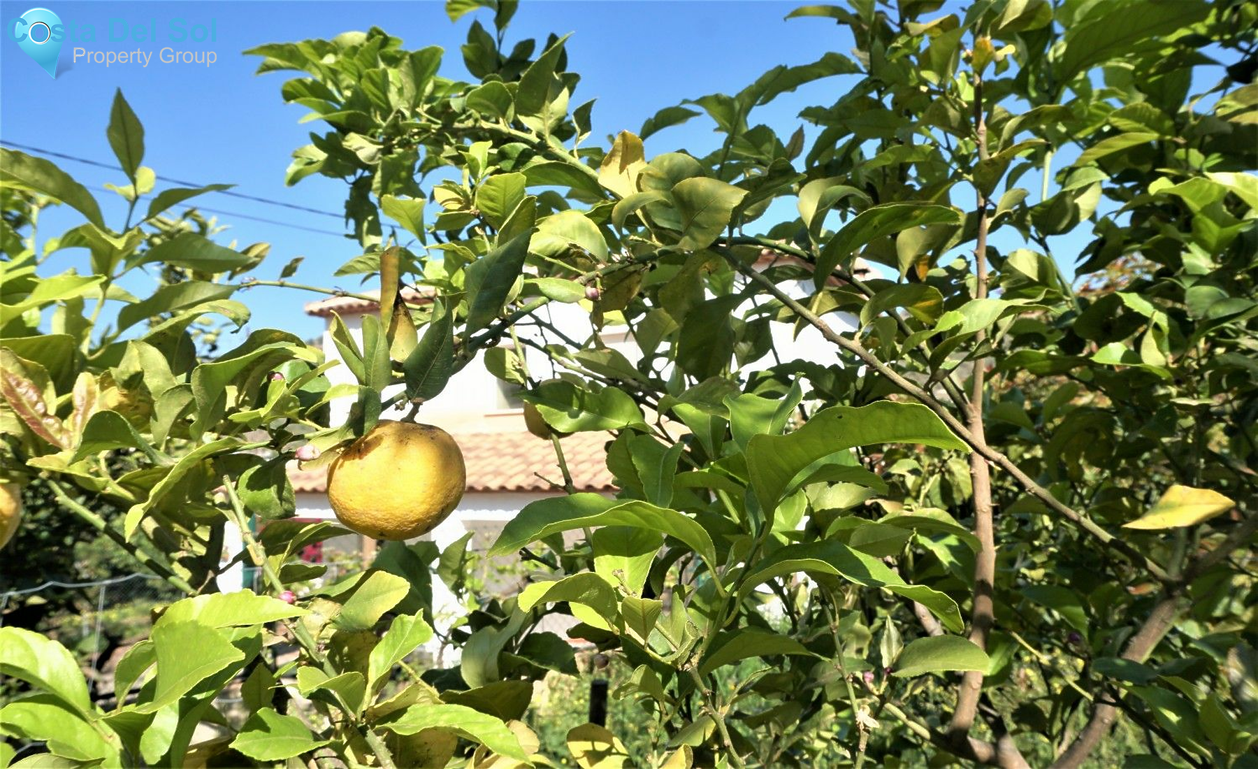 Land in Canillas de Aceituno-1208870