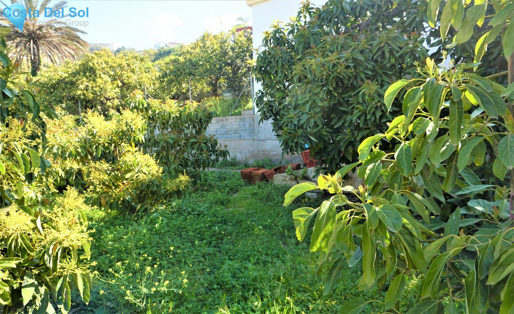 Land in Canillas de Aceituno-1208888