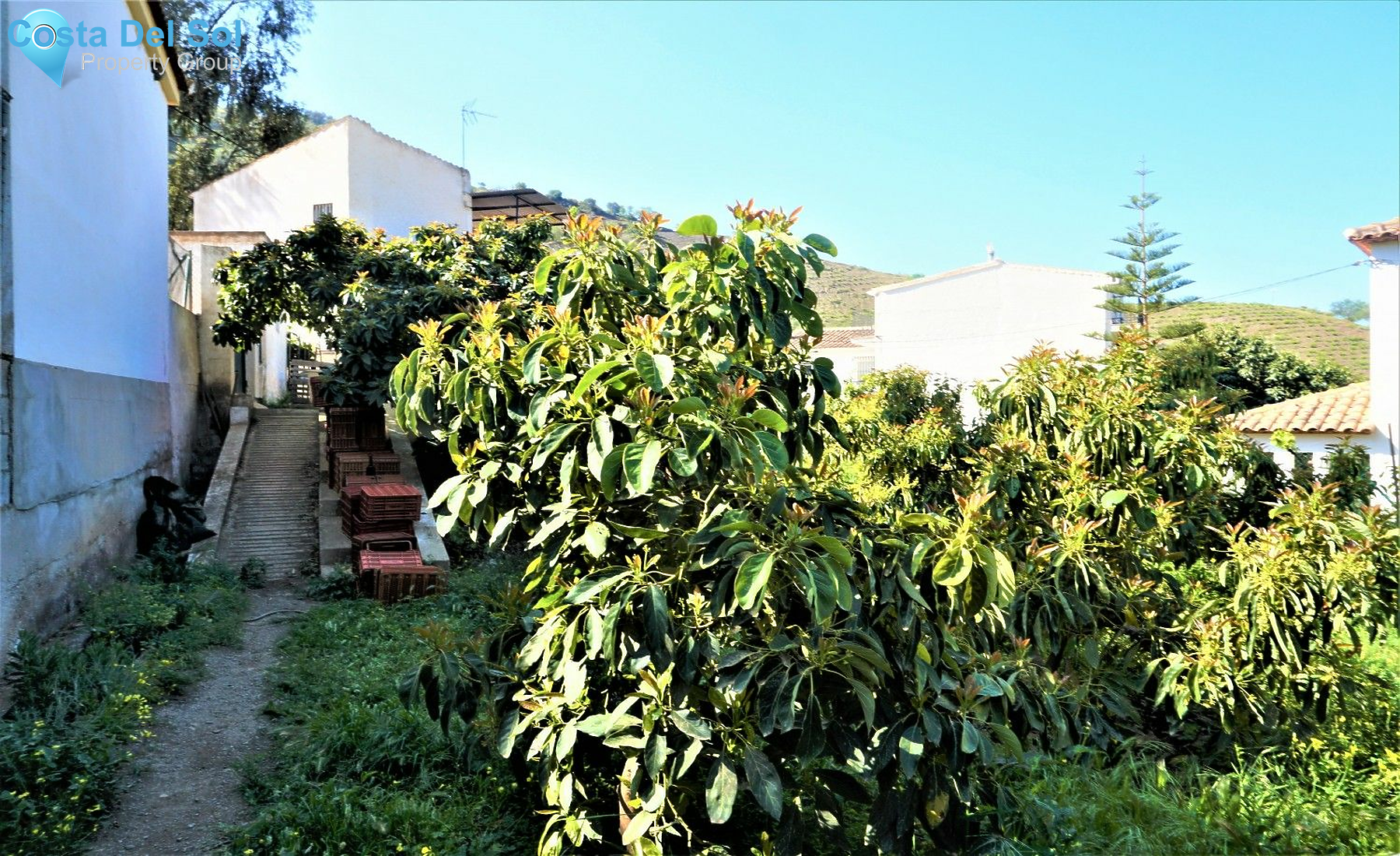 Land in Canillas de Aceituno-1208874