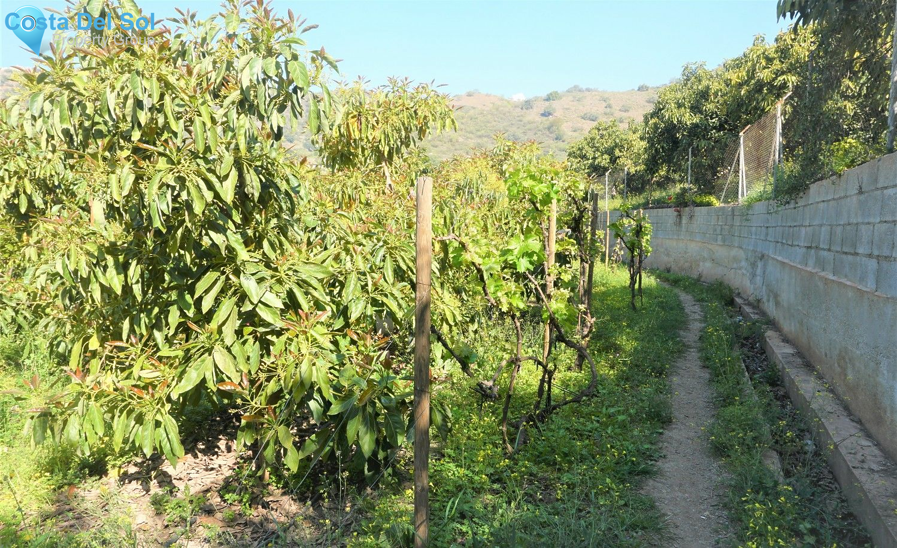 Land in Canillas de Aceituno-1208875
