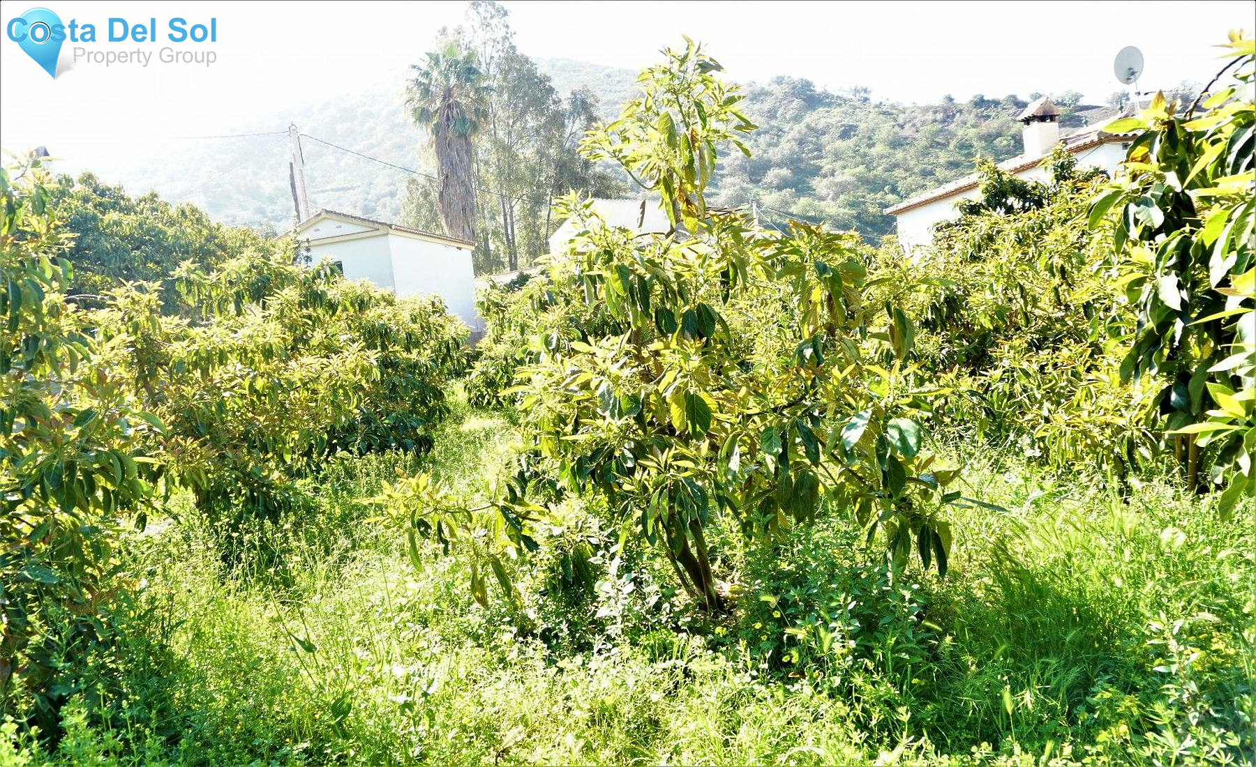 Land in Canillas de Aceituno-1208876