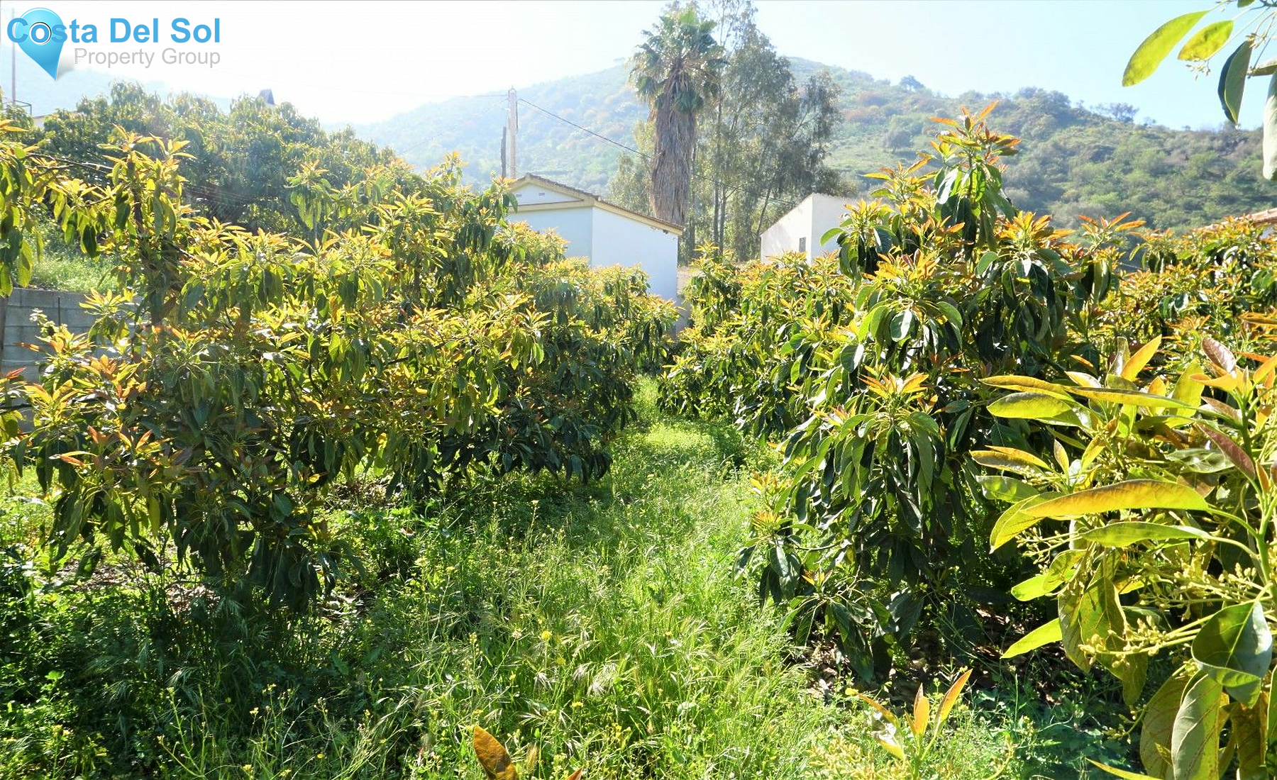 Land in Canillas de Aceituno-1208877
