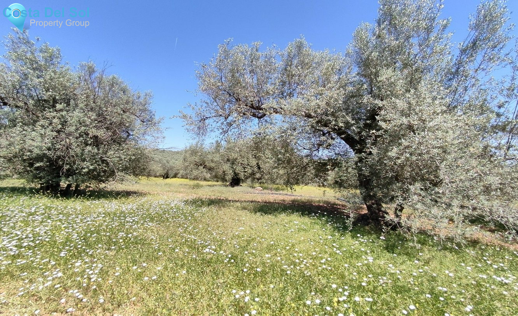 Land in Periana-1175026