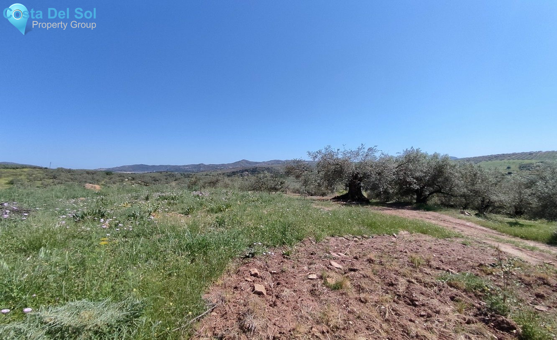 Land in Periana-1175035