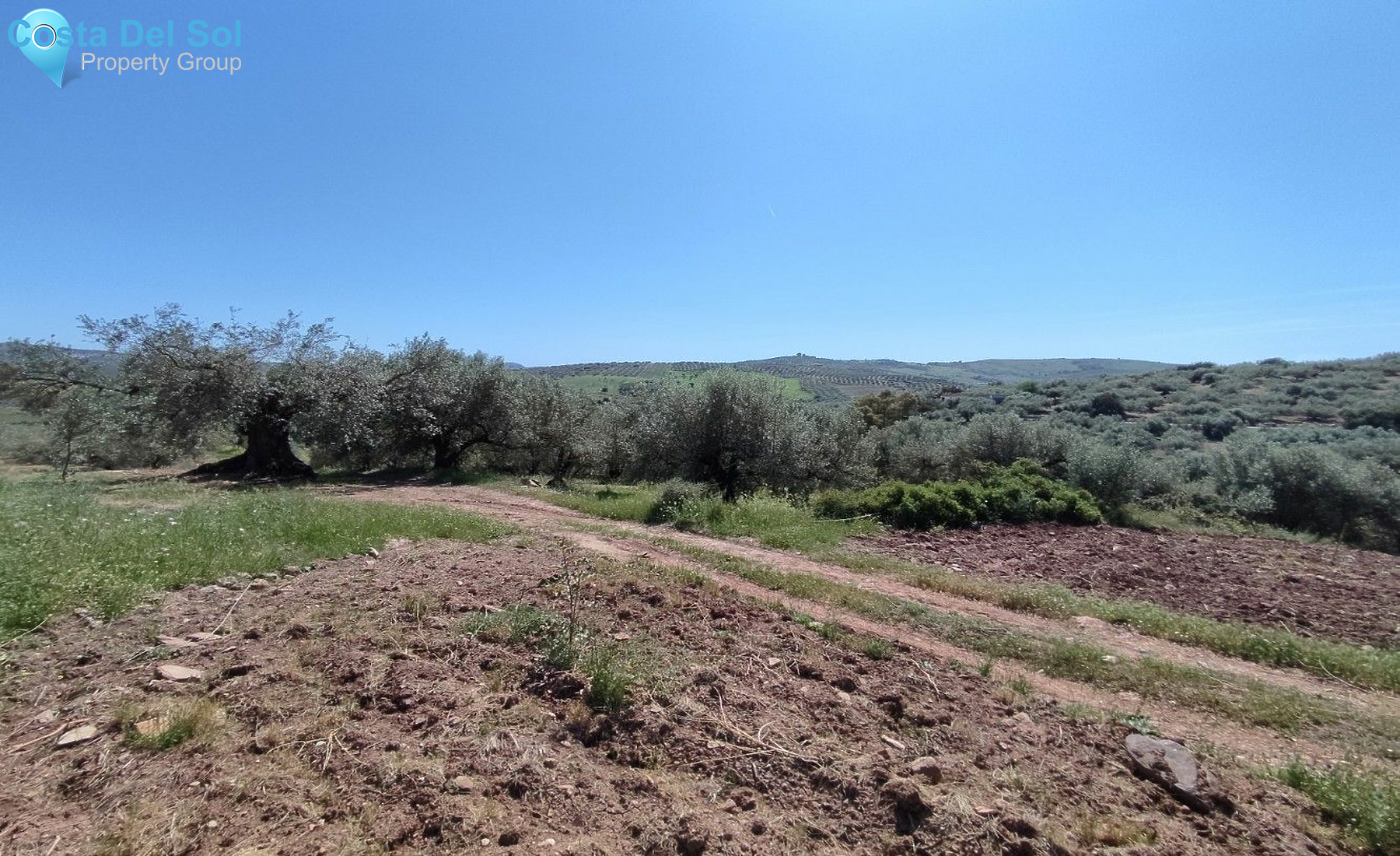 Land in Periana-1175036