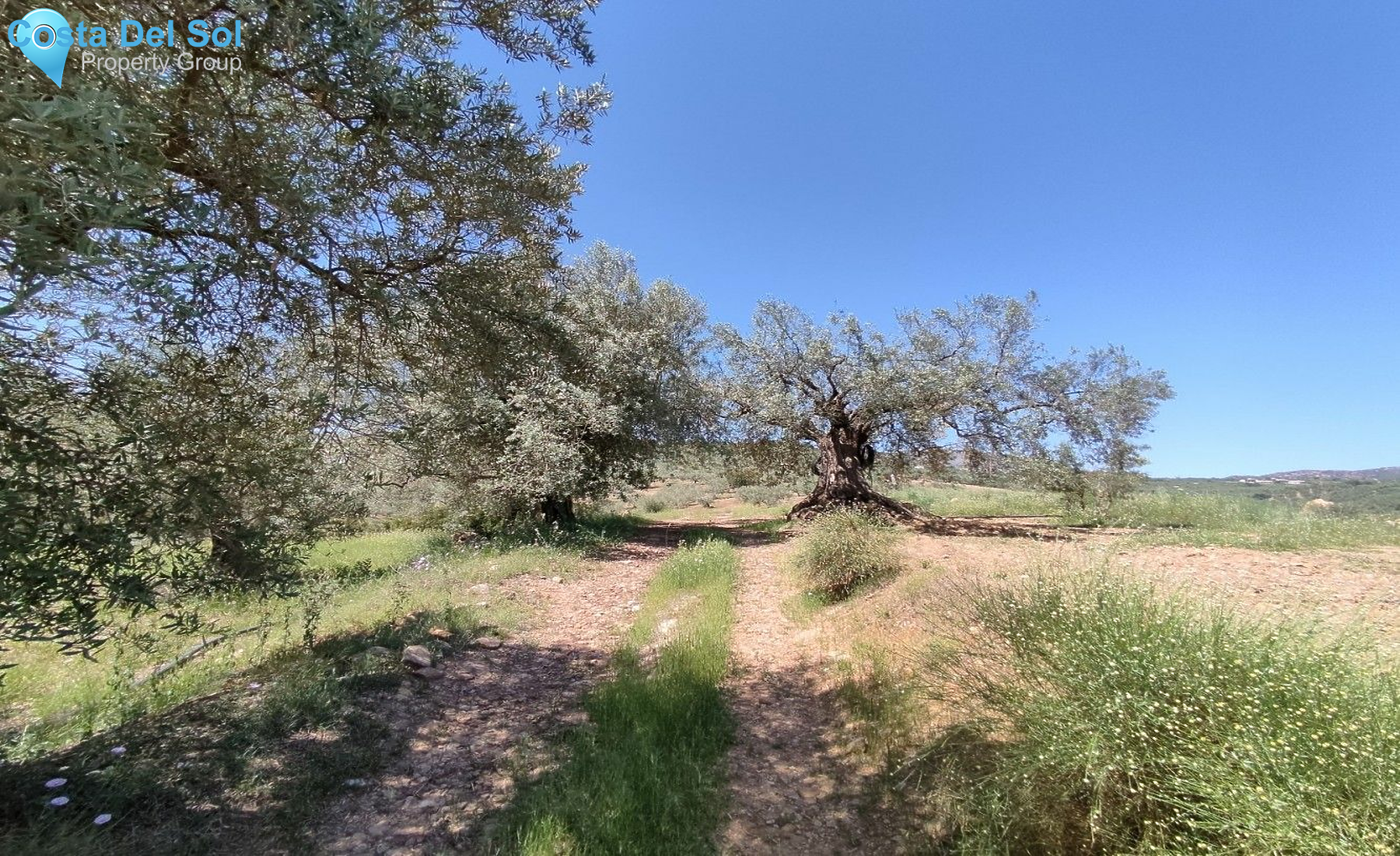 Land in Periana-1175038