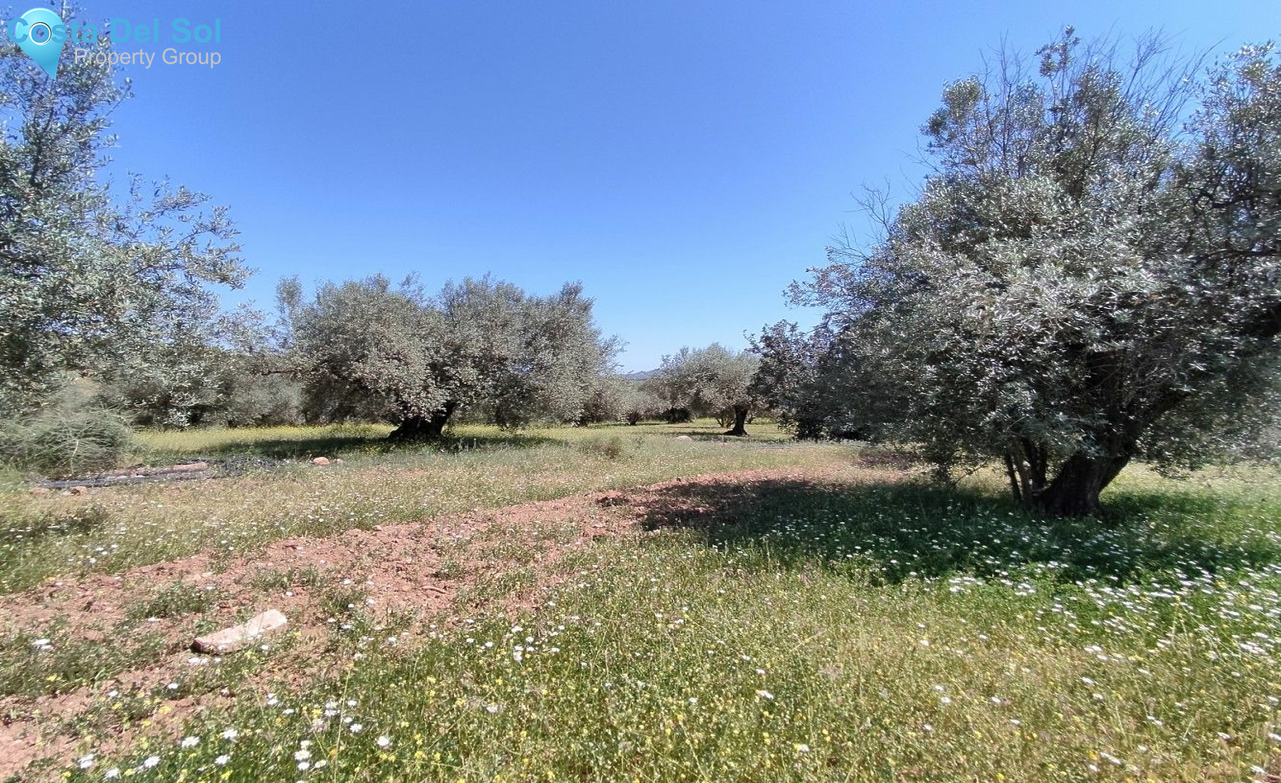 Land in Periana-1175039
