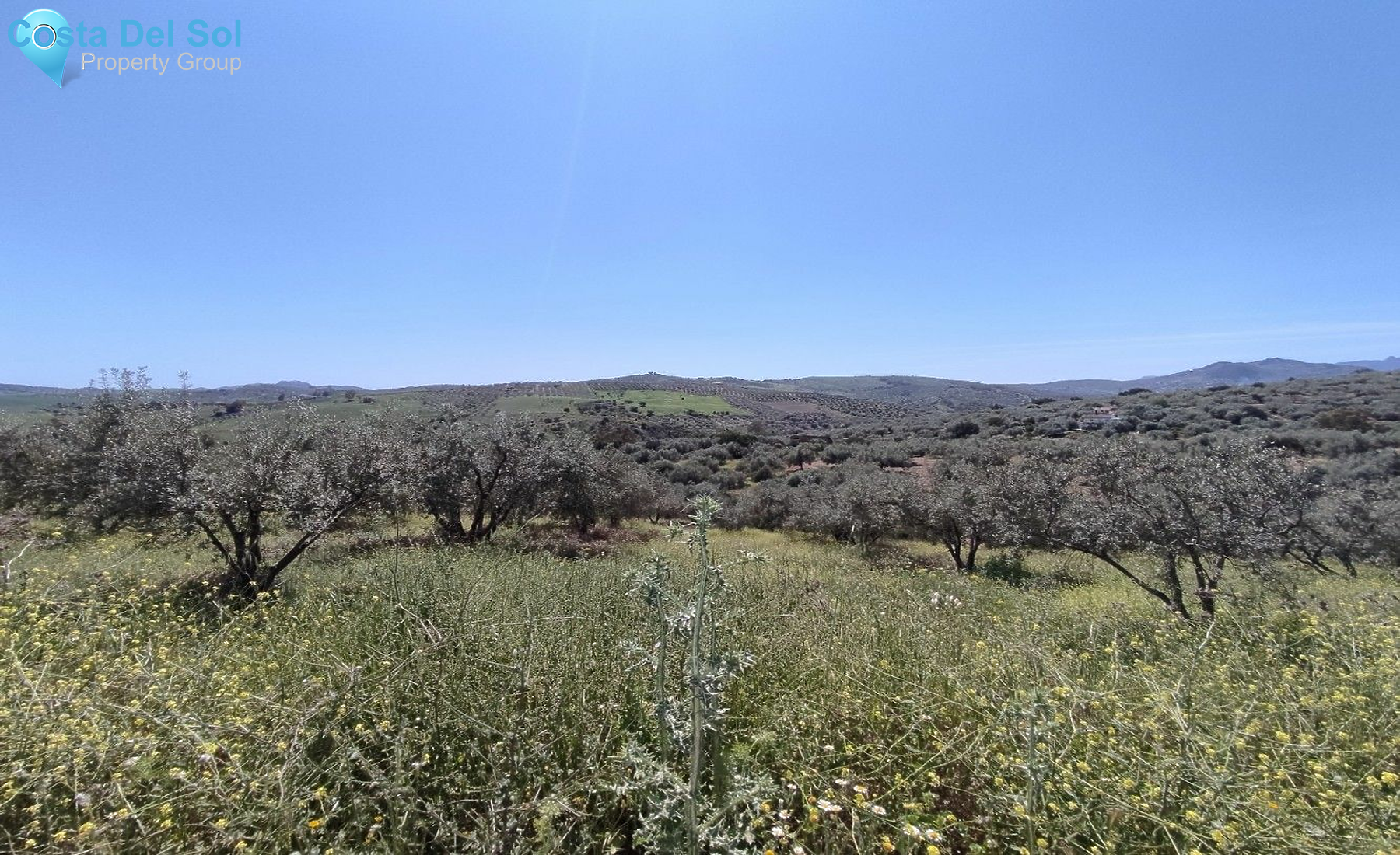Land in Periana-1175040