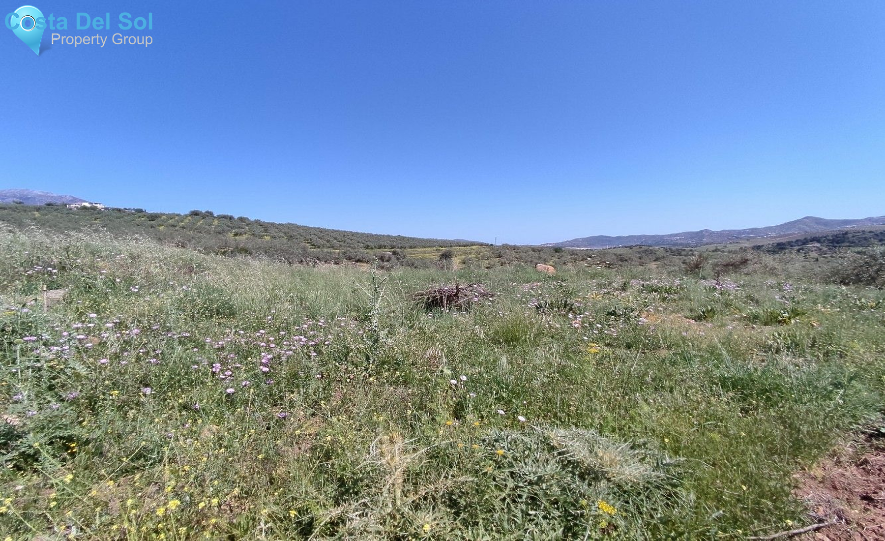 Land in Periana-1175041