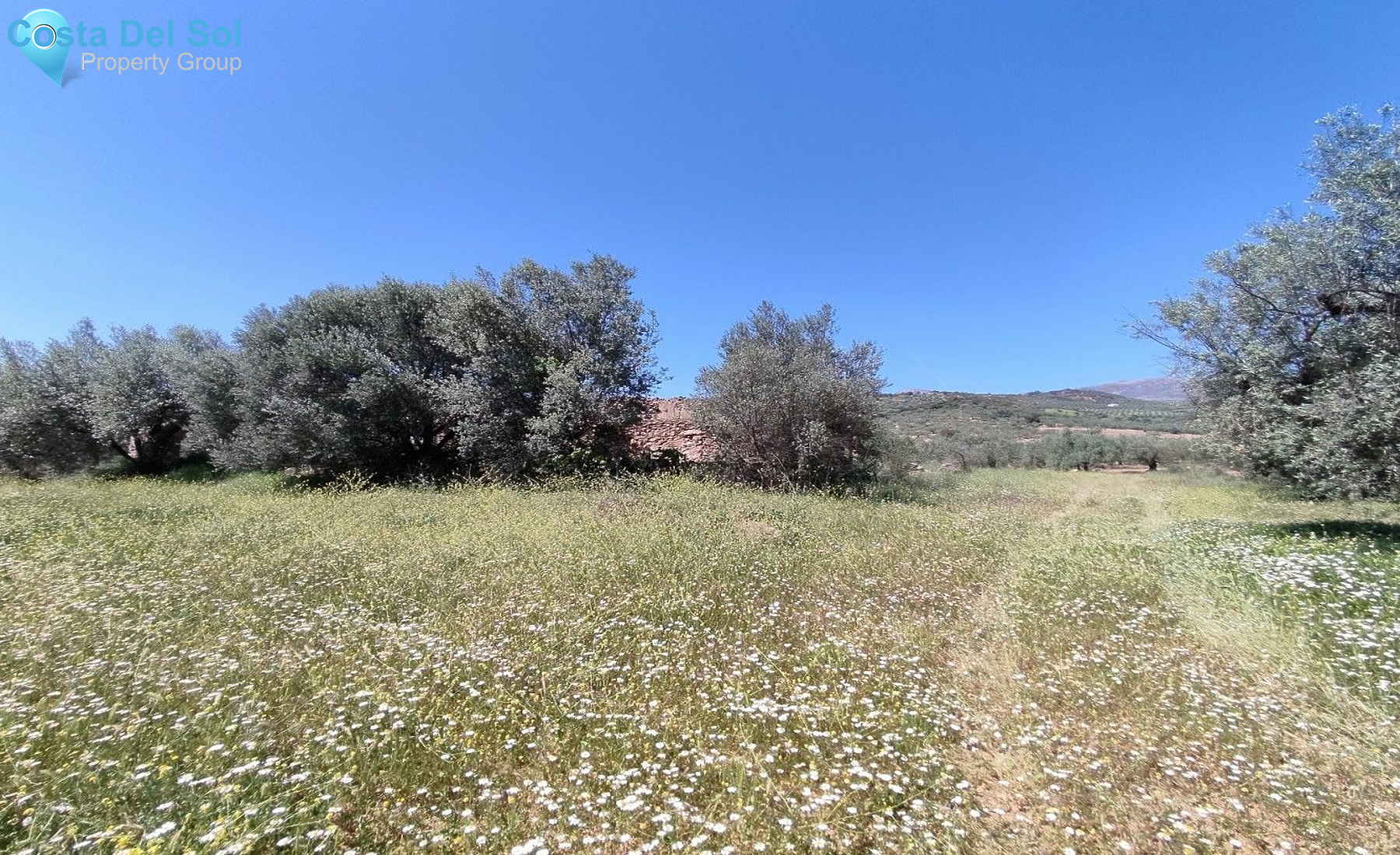 Land in Periana-1175042