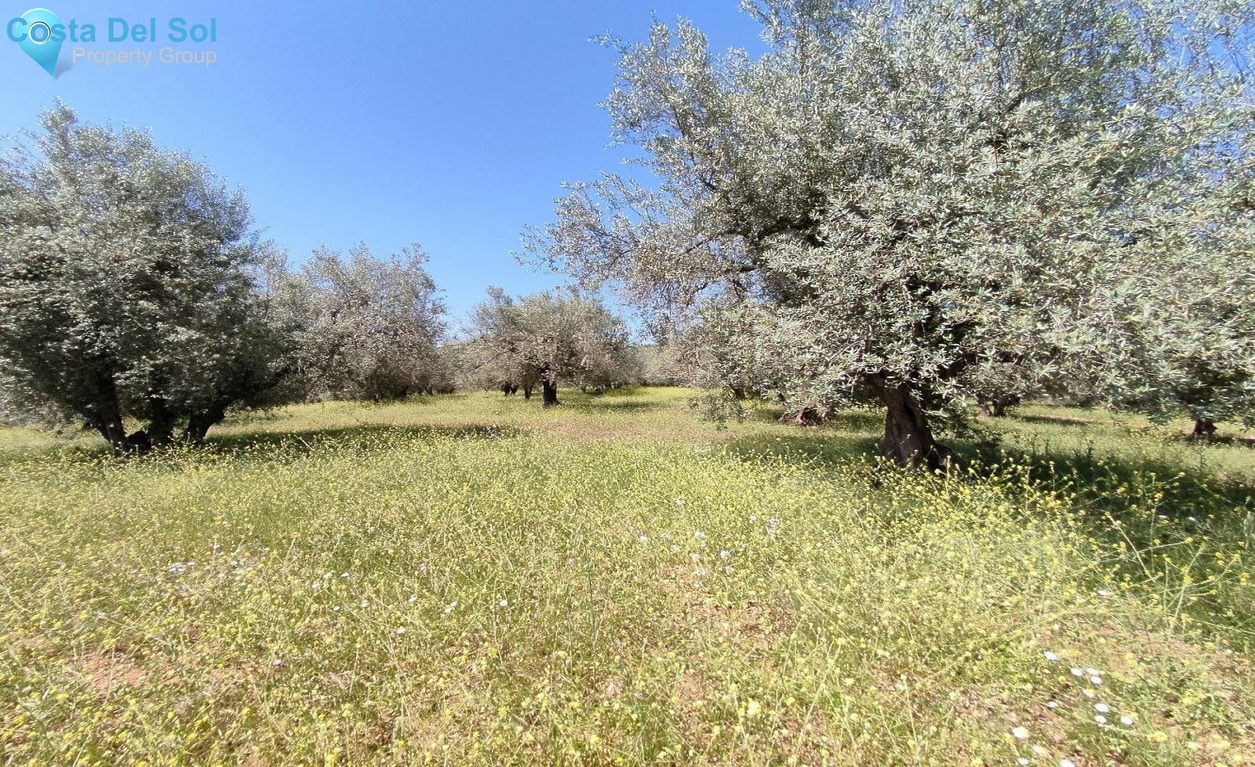 Land in Periana-1175043