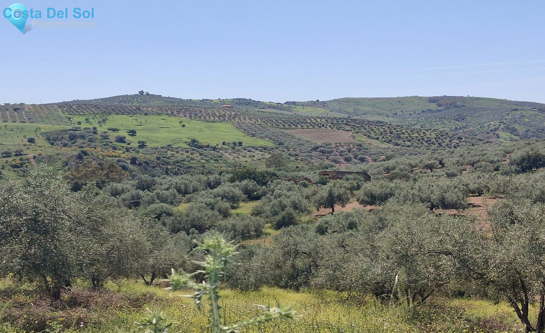 Land in Periana-1175028