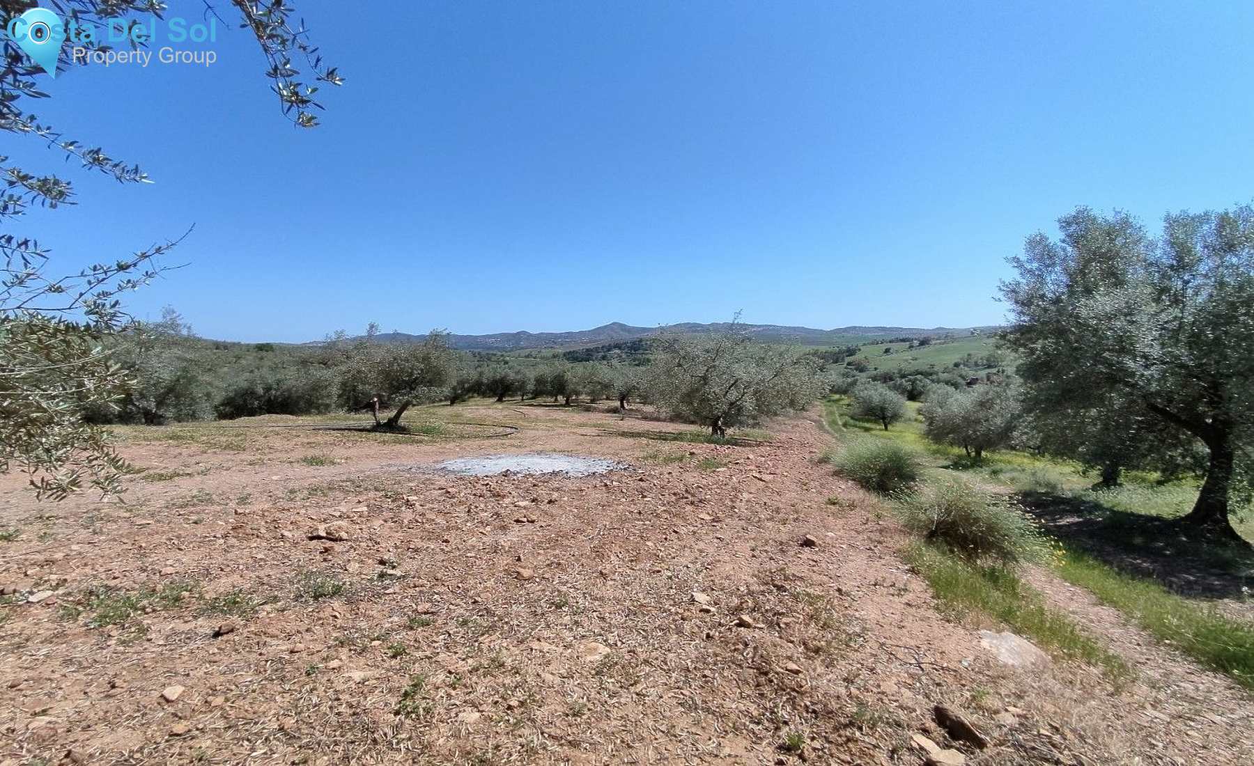 Land in Periana-1175031