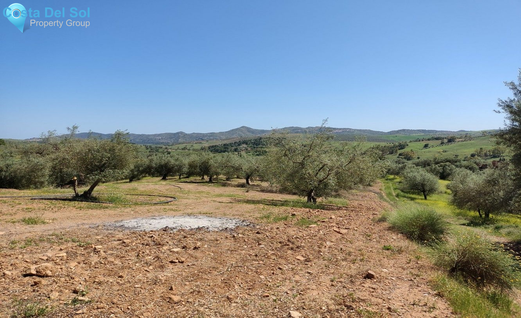 Land in Periana-1175032