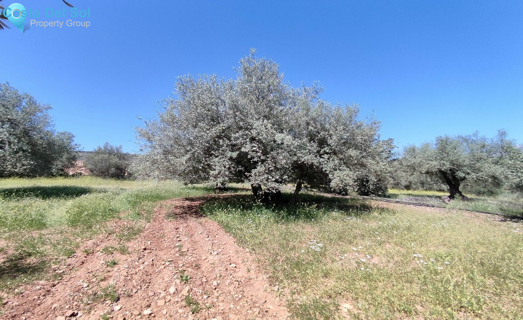 Land in Periana-1175033