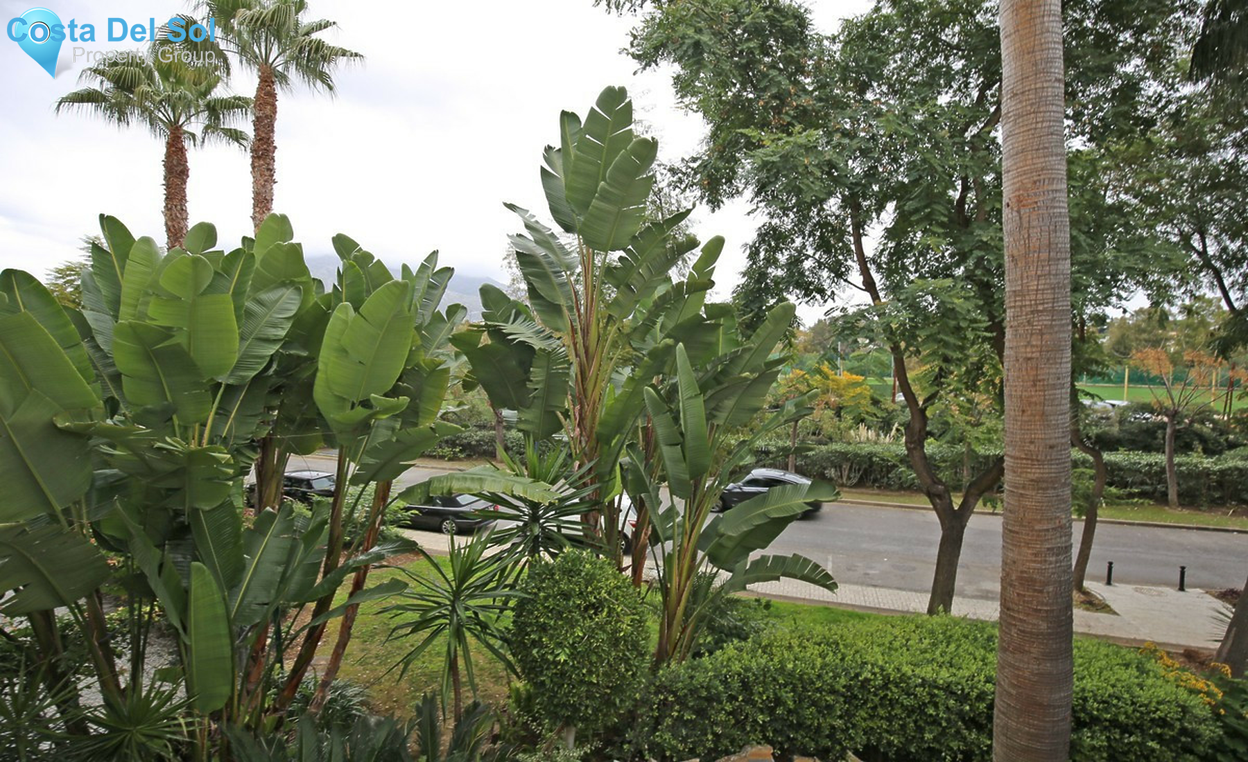 Middle Floor Apartment in Nueva Andalucía-1434149