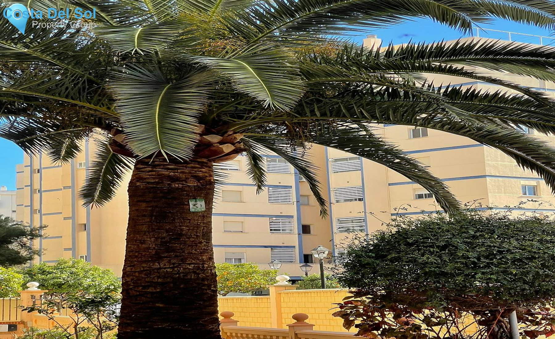 Middle Floor Studio in Fuengirola-1285213