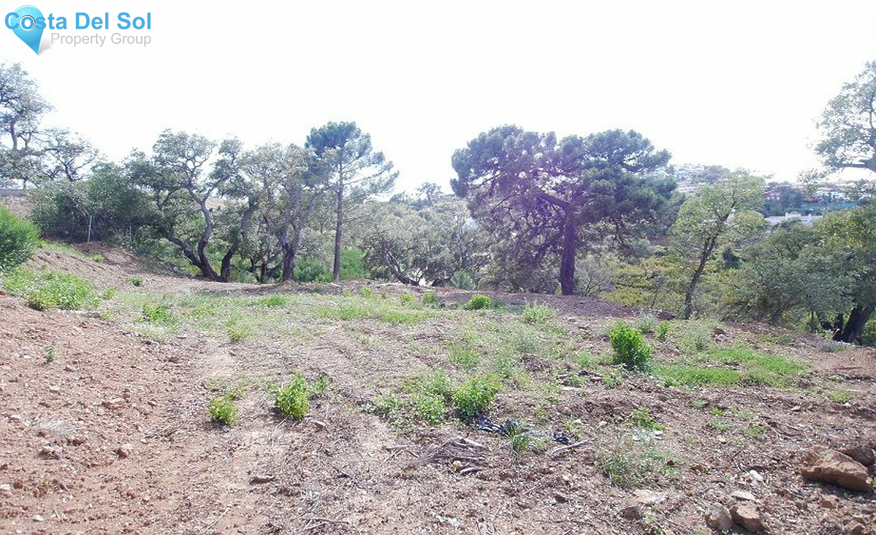 Residential Plot in La Mairena-1169157