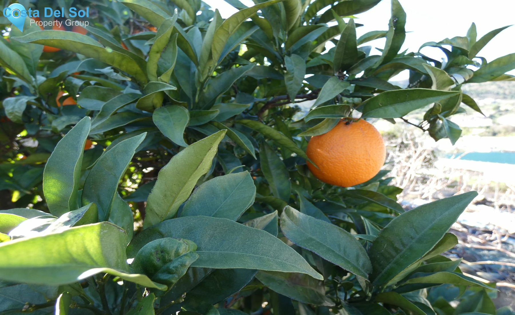 Residential Plot in Tolox-1132527