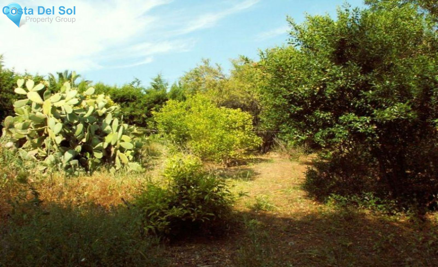 Residential Plot in Valle Romano