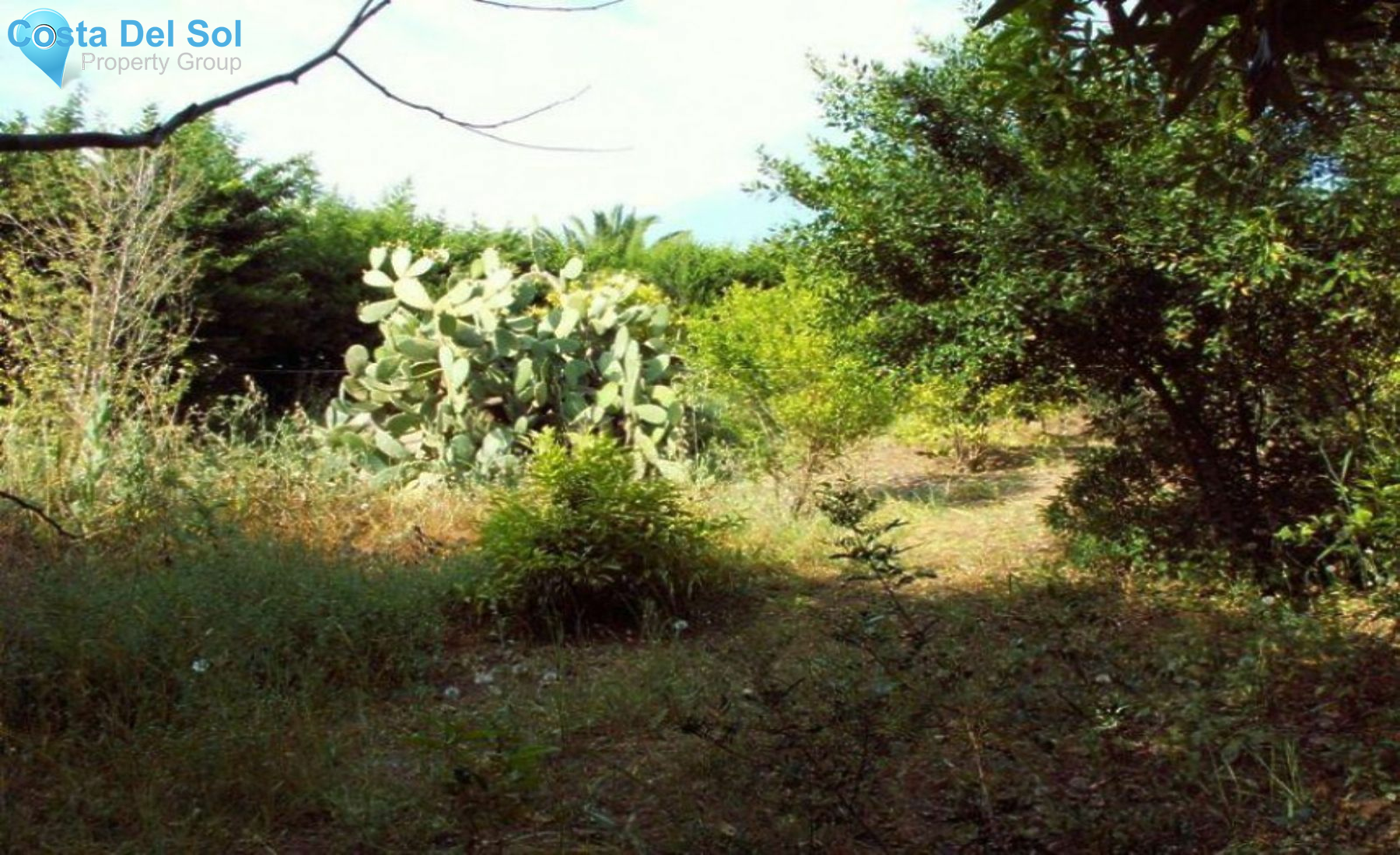 Residential Plot in Valle Romano-1390371