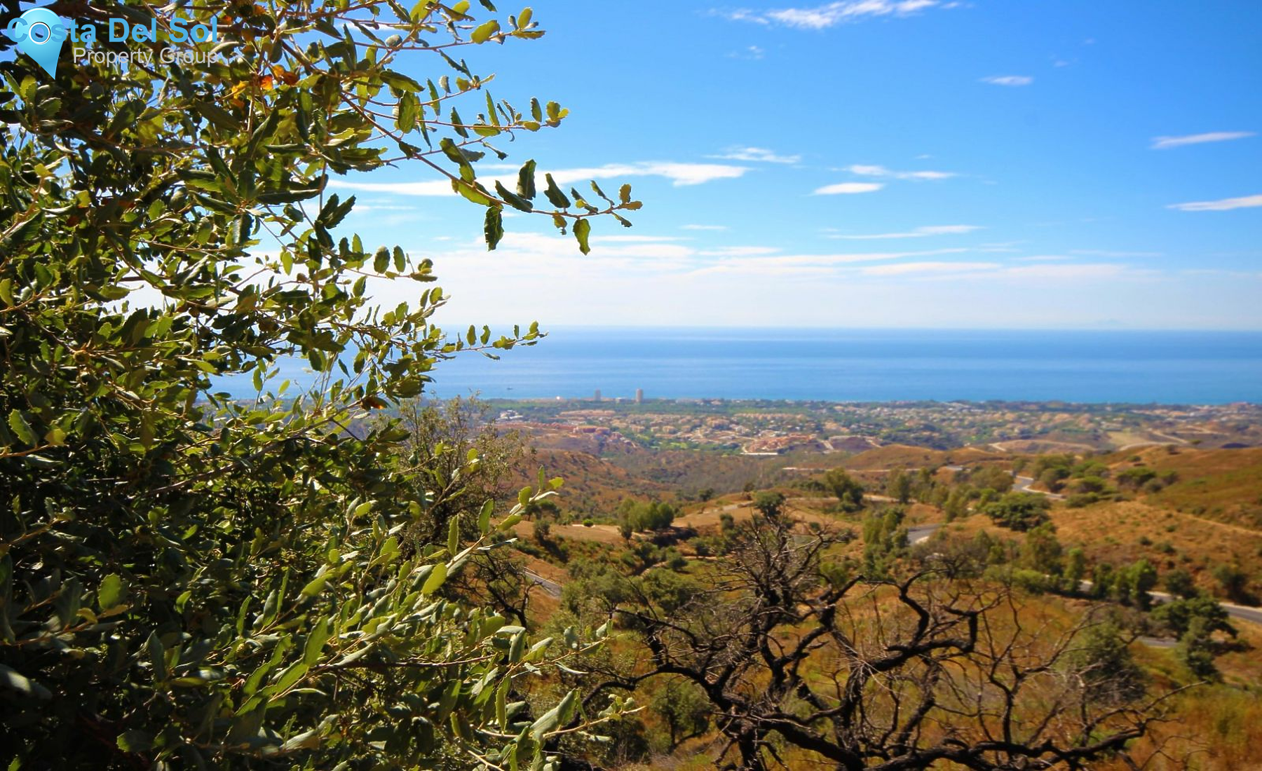 Restaurant in La Mairena