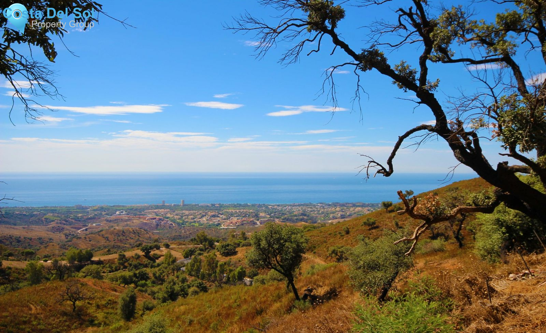 Restaurant in La Mairena-1193950
