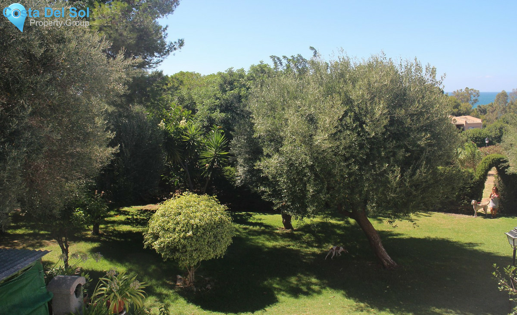 Top Floor Studio in Estepona-1561109