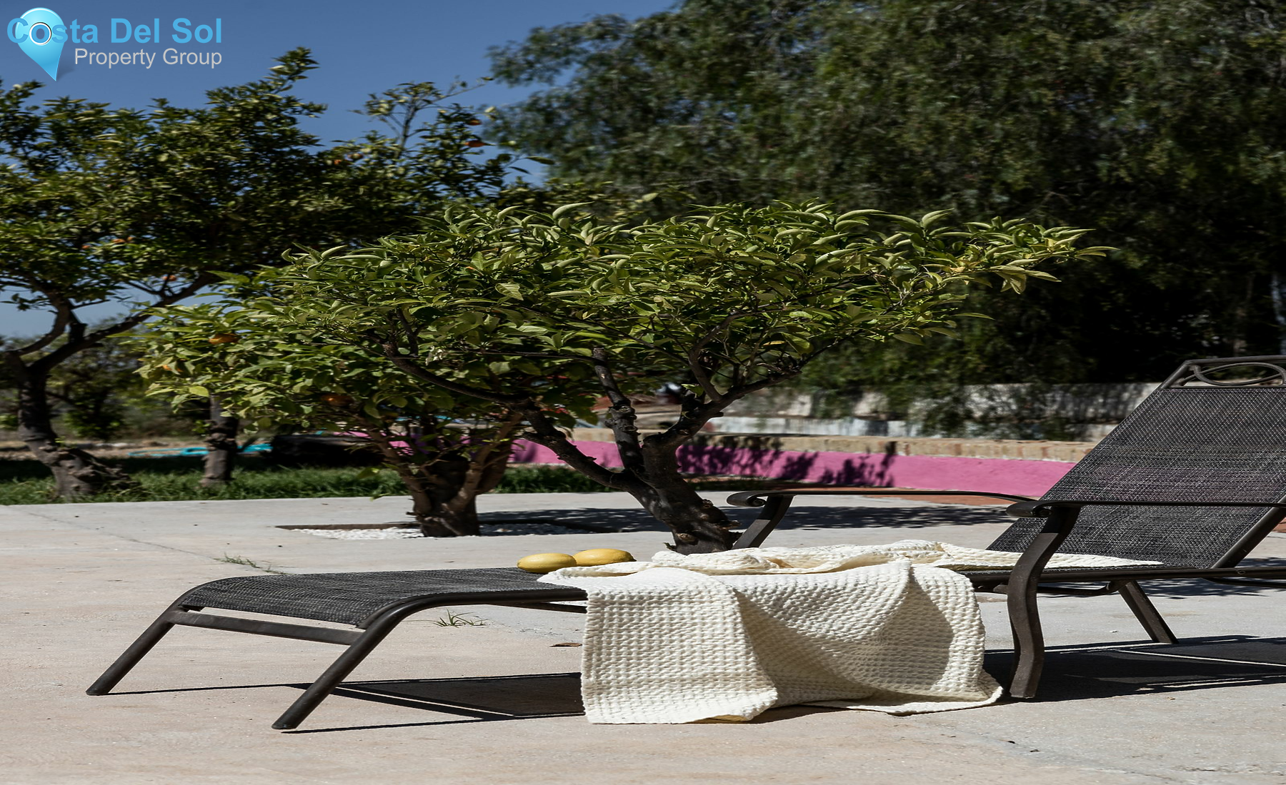 Finca - Cortijo in Alora-1535654