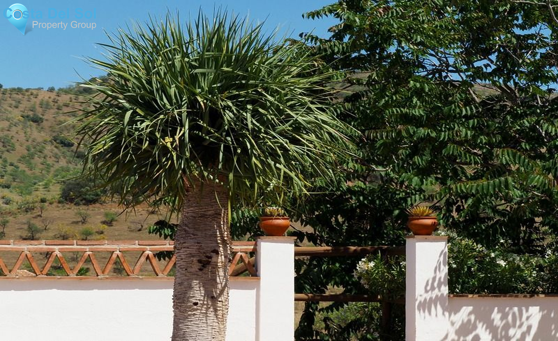 Detached Villa in Alora-1226226