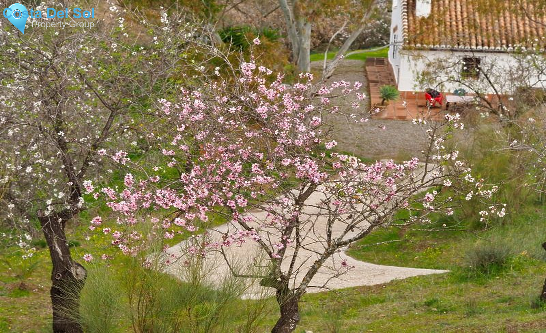 Detached Villa in Alora-1226227