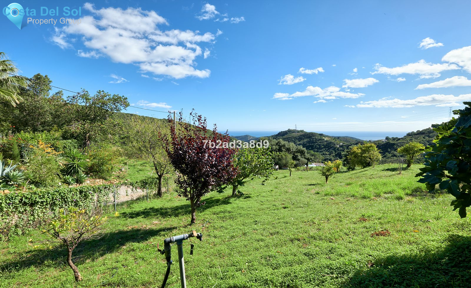 Detached Villa in Estepona-1399495