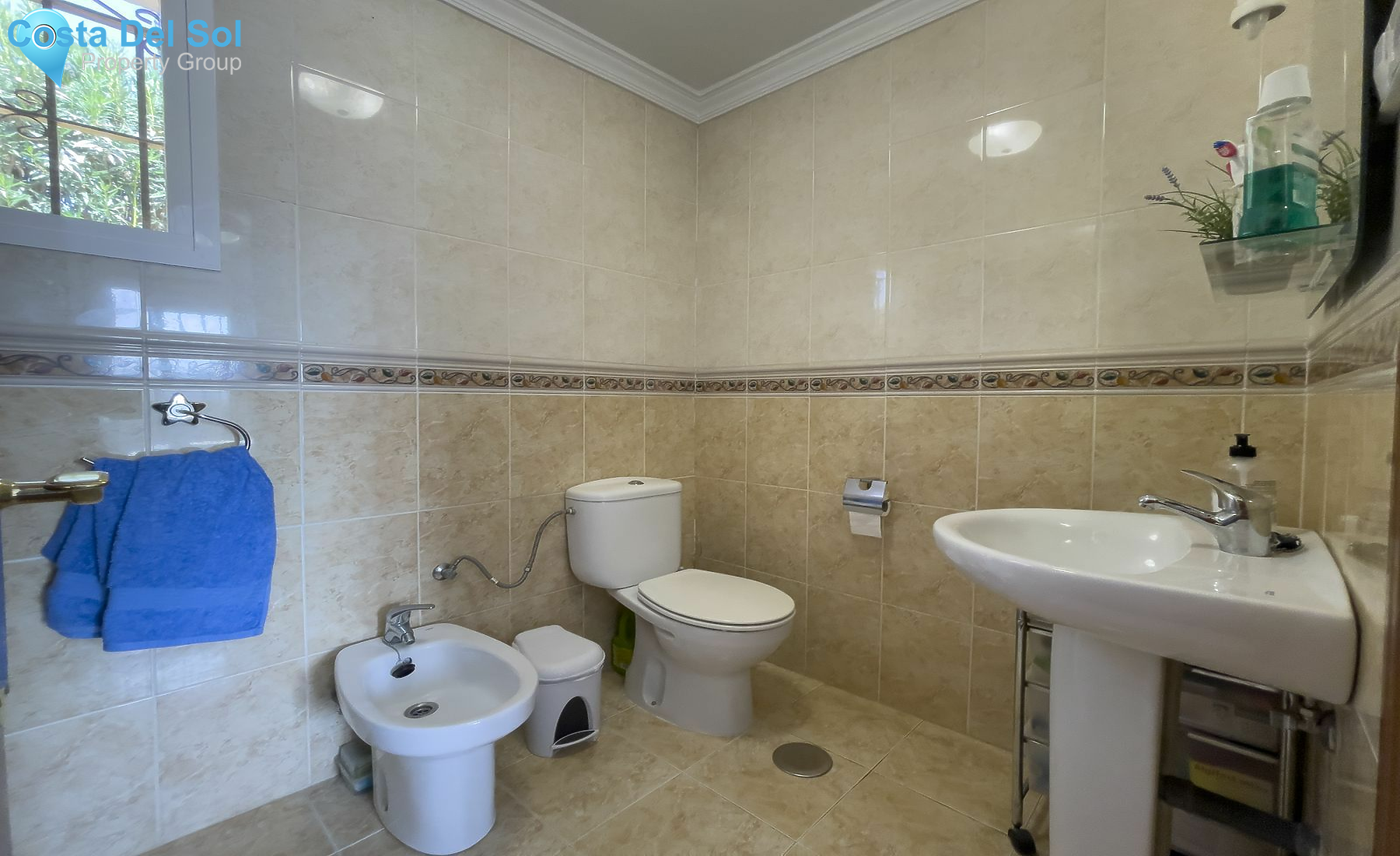 Detached Villa in Pizarra-1532135