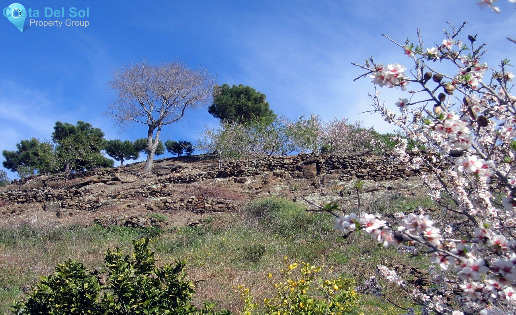 Detached Villa in Sayalonga-1465902