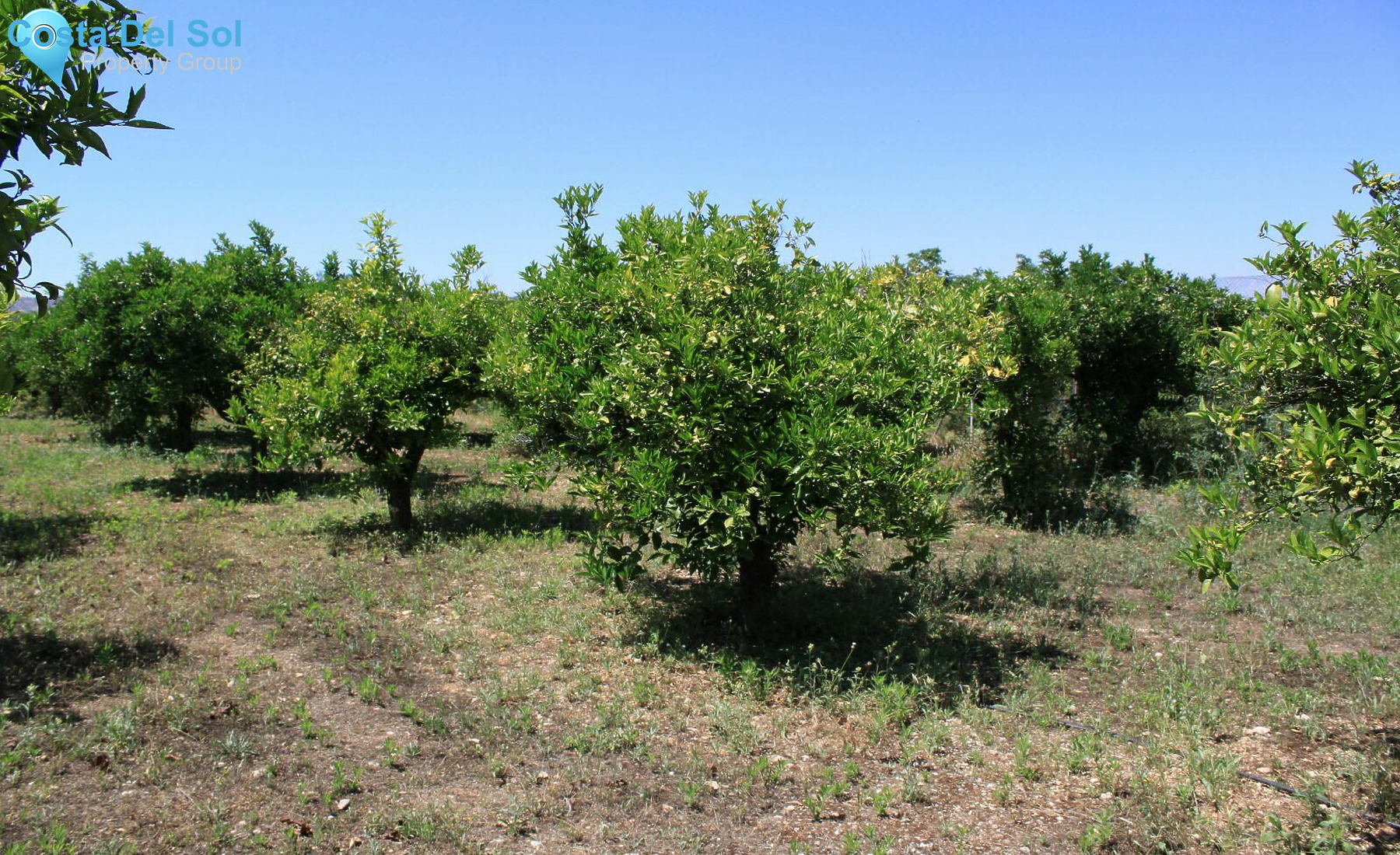 Finca - Cortijo in Alhaurín de la Torre-1216929
