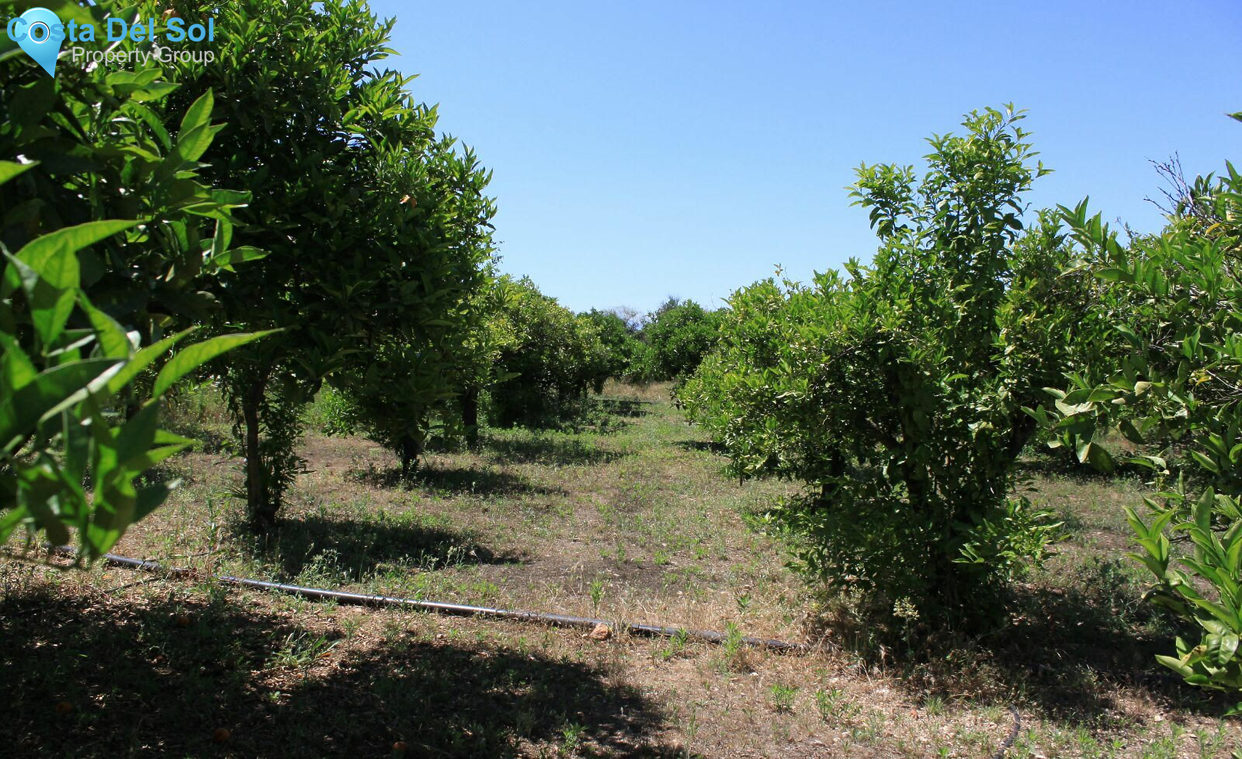Finca - Cortijo in Alhaurín de la Torre-1216924