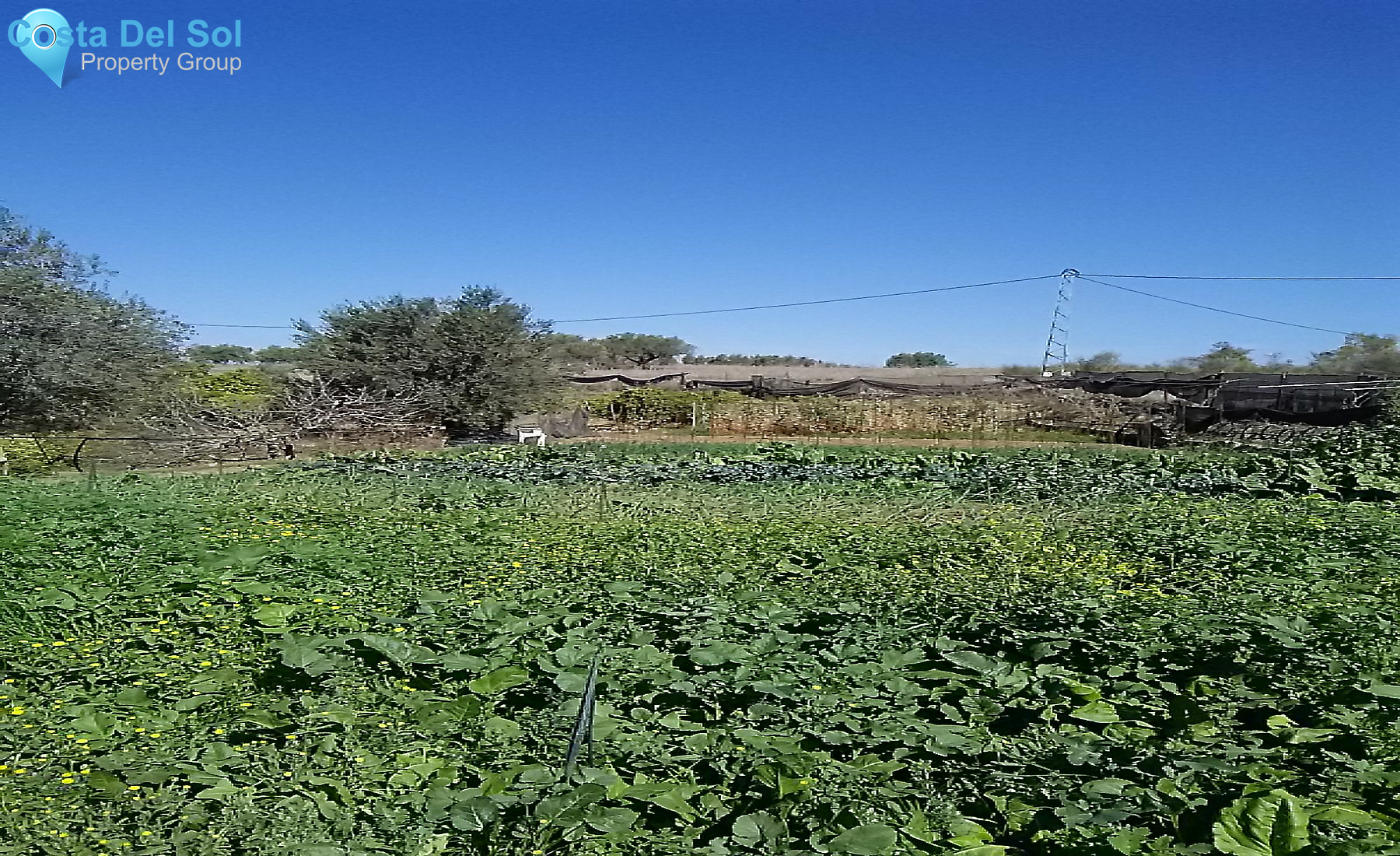 Finca - Cortijo in Alhaurín el Grande-1213257