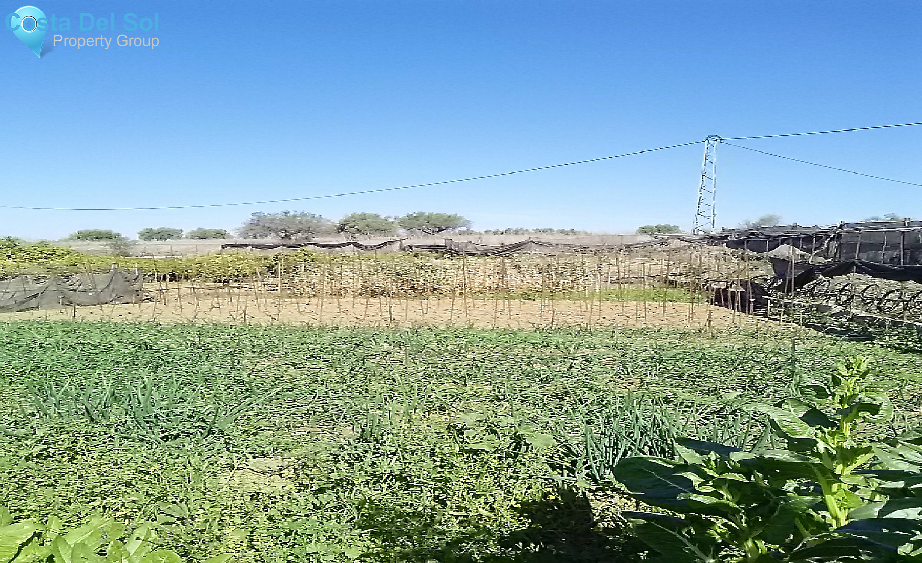 Finca - Cortijo in Alhaurín el Grande-1213268