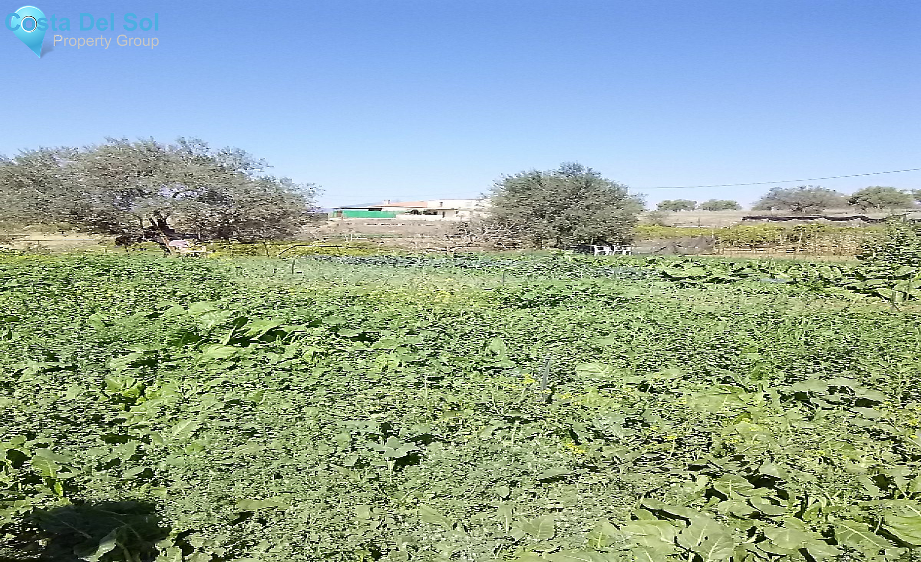 Finca - Cortijo in Alhaurín el Grande-1213271