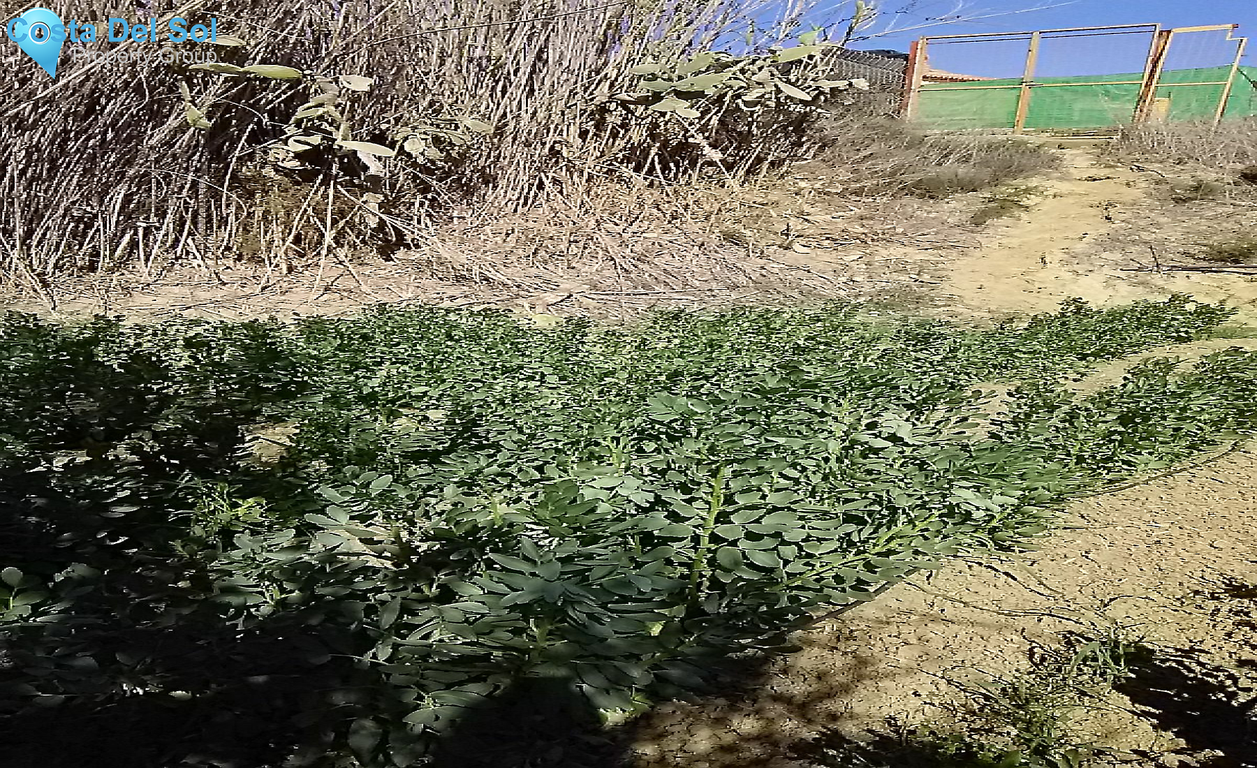 Finca - Cortijo in Alhaurín el Grande-1213276