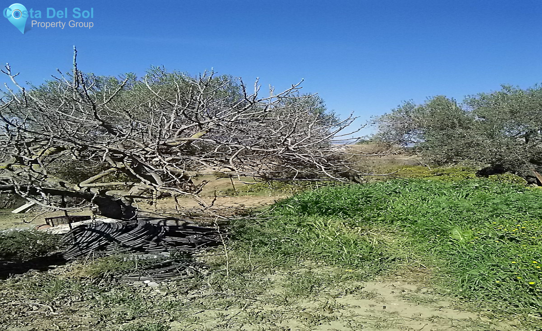 Finca - Cortijo in Alhaurín el Grande-1213259