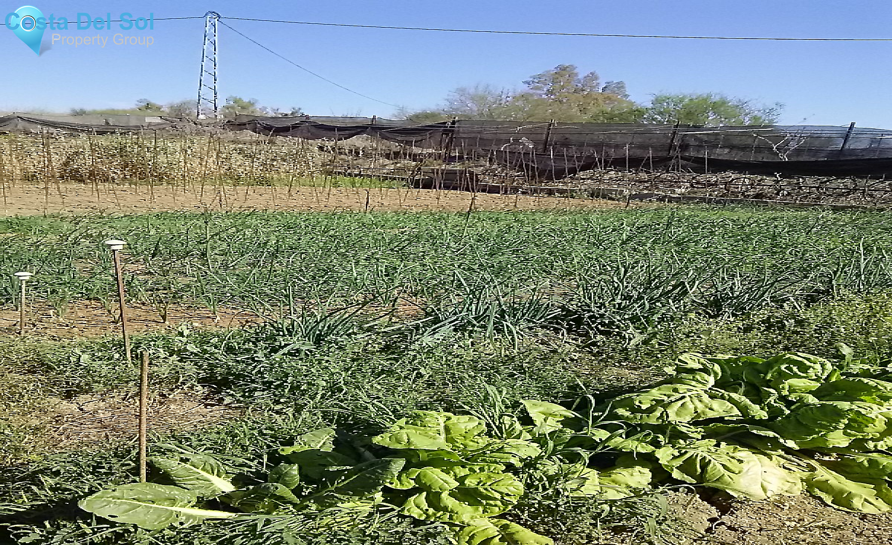 Finca - Cortijo in Alhaurín el Grande-1213260