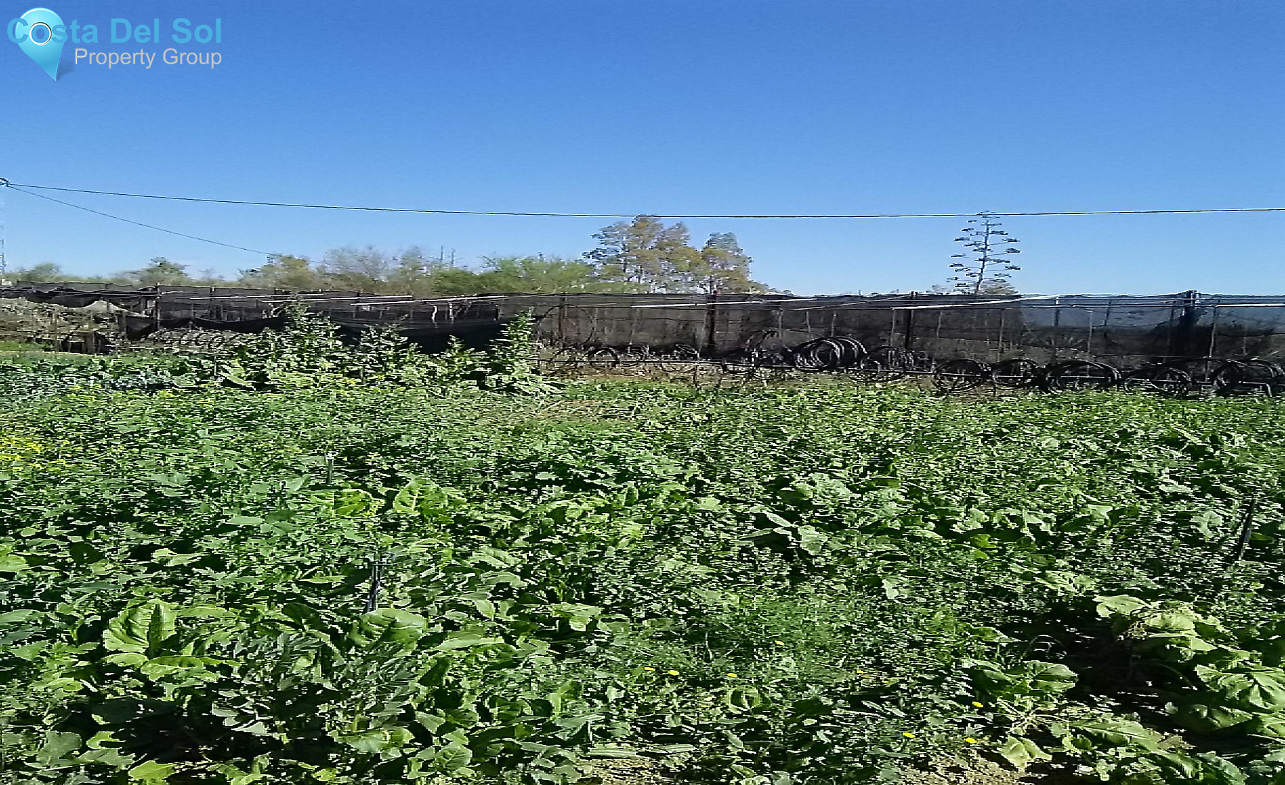 Finca - Cortijo in Alhaurín el Grande-1213261