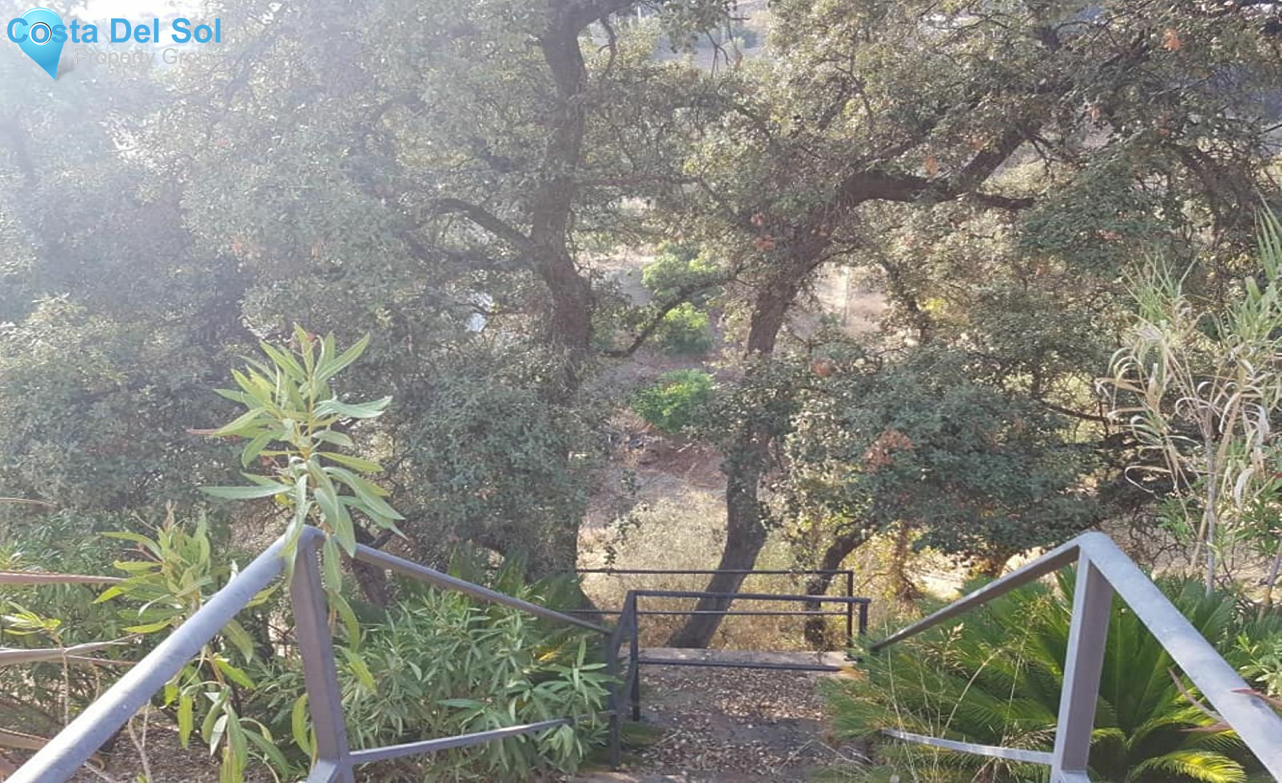 Finca - Cortijo in Alhaurín el Grande-1464371