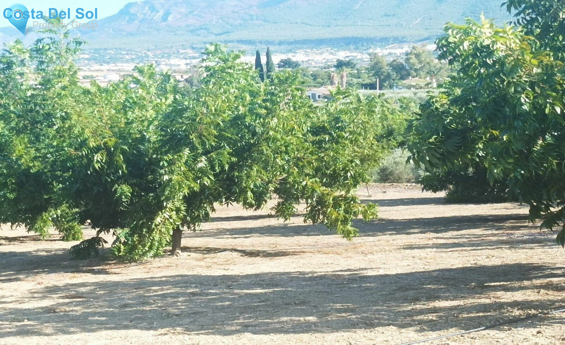 Finca - Cortijo in Alhaurín el Grande-1469681