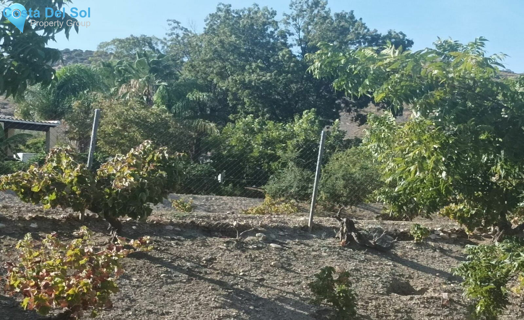 Finca - Cortijo in Alhaurín el Grande-1469685